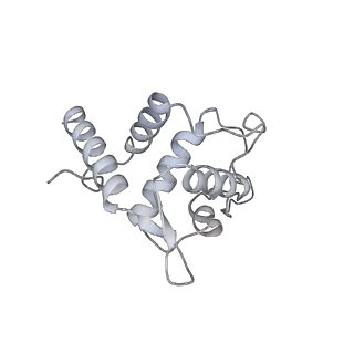 25528_7syh_U_v1-0
Structure of the HCV IRES binding to the 40S ribosomal subunit, closed conformation. Structure 2(delta dII)