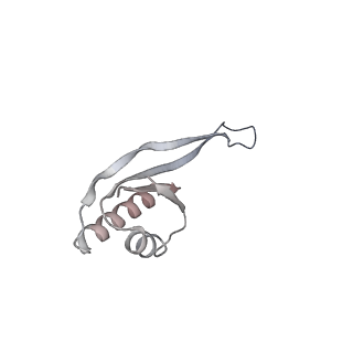 25528_7syh_V_v1-0
Structure of the HCV IRES binding to the 40S ribosomal subunit, closed conformation. Structure 2(delta dII)