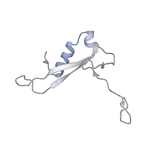 25528_7syh_W_v1-0
Structure of the HCV IRES binding to the 40S ribosomal subunit, closed conformation. Structure 2(delta dII)