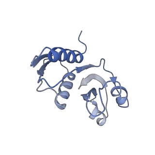 25528_7syh_X_v1-0
Structure of the HCV IRES binding to the 40S ribosomal subunit, closed conformation. Structure 2(delta dII)