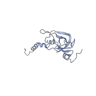 25528_7syh_Y_v1-0
Structure of the HCV IRES binding to the 40S ribosomal subunit, closed conformation. Structure 2(delta dII)