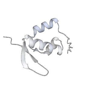 25528_7syh_a_v1-0
Structure of the HCV IRES binding to the 40S ribosomal subunit, closed conformation. Structure 2(delta dII)