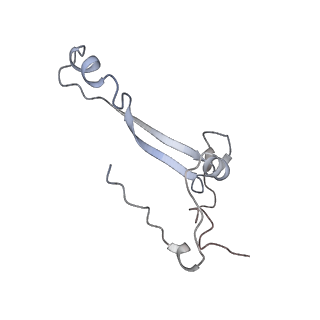 25528_7syh_b_v1-0
Structure of the HCV IRES binding to the 40S ribosomal subunit, closed conformation. Structure 2(delta dII)