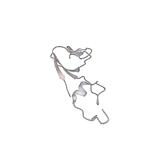 25528_7syh_c_v1-0
Structure of the HCV IRES binding to the 40S ribosomal subunit, closed conformation. Structure 2(delta dII)