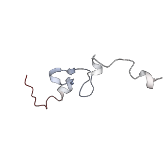 25528_7syh_e_v1-0
Structure of the HCV IRES binding to the 40S ribosomal subunit, closed conformation. Structure 2(delta dII)