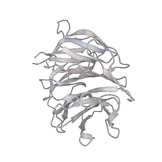 25528_7syh_h_v1-0
Structure of the HCV IRES binding to the 40S ribosomal subunit, closed conformation. Structure 2(delta dII)