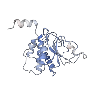 25529_7syi_B_v1-1
Structure of the HCV IRES binding to the 40S ribosomal subunit, closed conformation. Structure 3(delta dII)