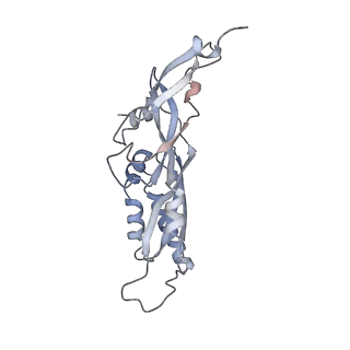 25529_7syi_C_v1-1
Structure of the HCV IRES binding to the 40S ribosomal subunit, closed conformation. Structure 3(delta dII)