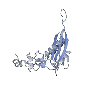 25529_7syi_D_v1-1
Structure of the HCV IRES binding to the 40S ribosomal subunit, closed conformation. Structure 3(delta dII)