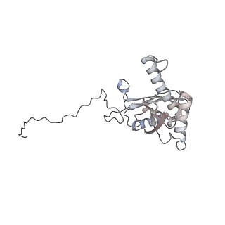 25529_7syi_E_v1-1
Structure of the HCV IRES binding to the 40S ribosomal subunit, closed conformation. Structure 3(delta dII)