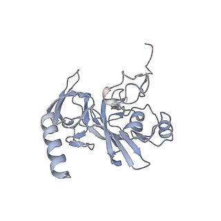 25529_7syi_F_v1-1
Structure of the HCV IRES binding to the 40S ribosomal subunit, closed conformation. Structure 3(delta dII)