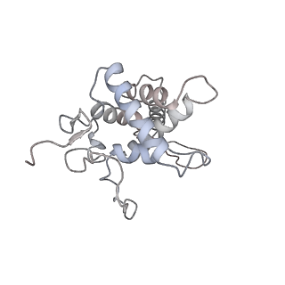 25529_7syi_G_v1-1
Structure of the HCV IRES binding to the 40S ribosomal subunit, closed conformation. Structure 3(delta dII)