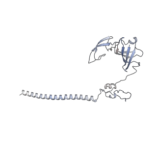 25529_7syi_H_v1-1
Structure of the HCV IRES binding to the 40S ribosomal subunit, closed conformation. Structure 3(delta dII)