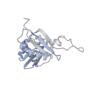 25529_7syi_I_v1-1
Structure of the HCV IRES binding to the 40S ribosomal subunit, closed conformation. Structure 3(delta dII)