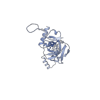 25529_7syi_J_v1-1
Structure of the HCV IRES binding to the 40S ribosomal subunit, closed conformation. Structure 3(delta dII)