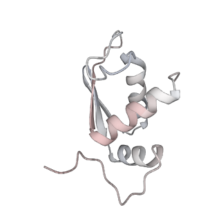 25529_7syi_L_v1-1
Structure of the HCV IRES binding to the 40S ribosomal subunit, closed conformation. Structure 3(delta dII)