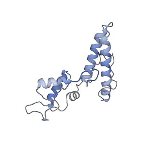 25529_7syi_O_v1-1
Structure of the HCV IRES binding to the 40S ribosomal subunit, closed conformation. Structure 3(delta dII)