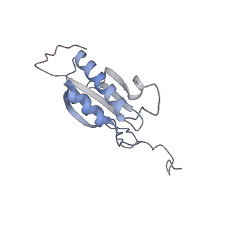 25529_7syi_P_v1-1
Structure of the HCV IRES binding to the 40S ribosomal subunit, closed conformation. Structure 3(delta dII)