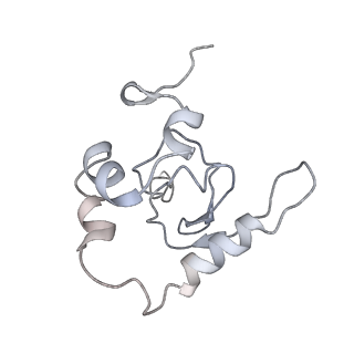 25529_7syi_Q_v1-1
Structure of the HCV IRES binding to the 40S ribosomal subunit, closed conformation. Structure 3(delta dII)