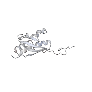 25529_7syi_R_v1-1
Structure of the HCV IRES binding to the 40S ribosomal subunit, closed conformation. Structure 3(delta dII)