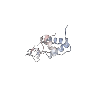 25529_7syi_S_v1-1
Structure of the HCV IRES binding to the 40S ribosomal subunit, closed conformation. Structure 3(delta dII)