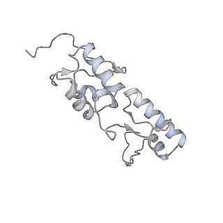 25529_7syi_T_v1-1
Structure of the HCV IRES binding to the 40S ribosomal subunit, closed conformation. Structure 3(delta dII)