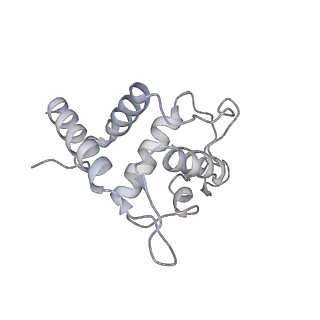 25529_7syi_U_v1-1
Structure of the HCV IRES binding to the 40S ribosomal subunit, closed conformation. Structure 3(delta dII)
