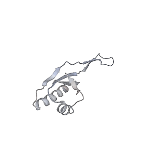25529_7syi_V_v1-1
Structure of the HCV IRES binding to the 40S ribosomal subunit, closed conformation. Structure 3(delta dII)