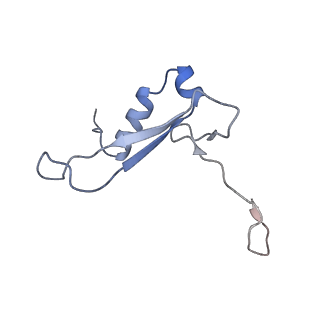 25529_7syi_W_v1-1
Structure of the HCV IRES binding to the 40S ribosomal subunit, closed conformation. Structure 3(delta dII)