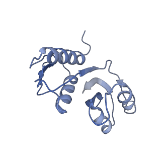 25529_7syi_X_v1-1
Structure of the HCV IRES binding to the 40S ribosomal subunit, closed conformation. Structure 3(delta dII)