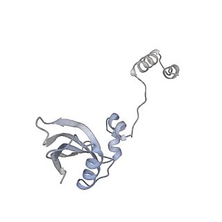 25529_7syi_Z_v1-1
Structure of the HCV IRES binding to the 40S ribosomal subunit, closed conformation. Structure 3(delta dII)