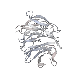 25529_7syi_h_v1-1
Structure of the HCV IRES binding to the 40S ribosomal subunit, closed conformation. Structure 3(delta dII)