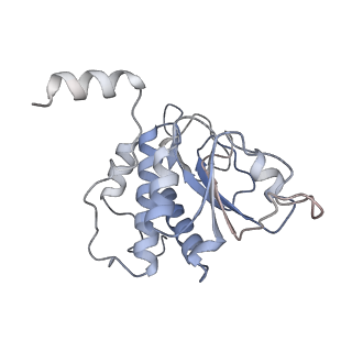 25530_7syj_B_v1-1
Structure of the HCV IRES binding to the 40S ribosomal subunit, closed conformation. Structure 4(delta dII)