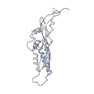 25530_7syj_C_v1-1
Structure of the HCV IRES binding to the 40S ribosomal subunit, closed conformation. Structure 4(delta dII)