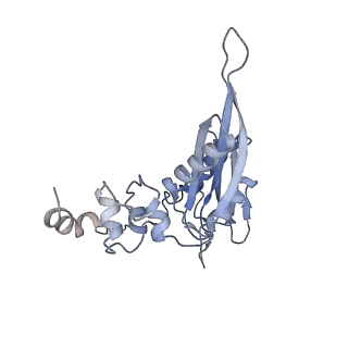 25530_7syj_D_v1-1
Structure of the HCV IRES binding to the 40S ribosomal subunit, closed conformation. Structure 4(delta dII)