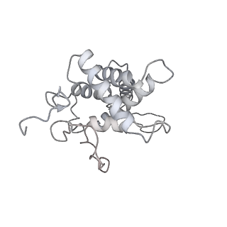 25530_7syj_G_v1-1
Structure of the HCV IRES binding to the 40S ribosomal subunit, closed conformation. Structure 4(delta dII)