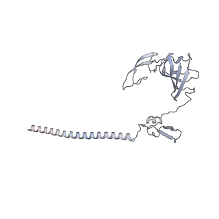 25530_7syj_H_v1-1
Structure of the HCV IRES binding to the 40S ribosomal subunit, closed conformation. Structure 4(delta dII)