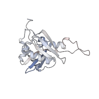 25530_7syj_I_v1-1
Structure of the HCV IRES binding to the 40S ribosomal subunit, closed conformation. Structure 4(delta dII)