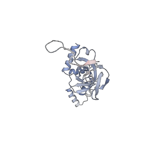 25530_7syj_J_v1-1
Structure of the HCV IRES binding to the 40S ribosomal subunit, closed conformation. Structure 4(delta dII)