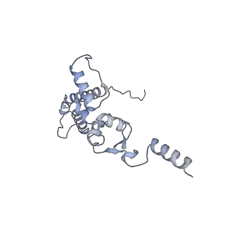 25530_7syj_K_v1-1
Structure of the HCV IRES binding to the 40S ribosomal subunit, closed conformation. Structure 4(delta dII)