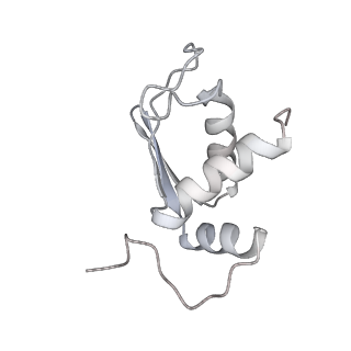 25530_7syj_L_v1-1
Structure of the HCV IRES binding to the 40S ribosomal subunit, closed conformation. Structure 4(delta dII)