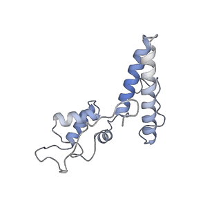 25530_7syj_O_v1-1
Structure of the HCV IRES binding to the 40S ribosomal subunit, closed conformation. Structure 4(delta dII)