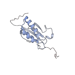 25530_7syj_P_v1-1
Structure of the HCV IRES binding to the 40S ribosomal subunit, closed conformation. Structure 4(delta dII)