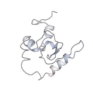 25530_7syj_Q_v1-1
Structure of the HCV IRES binding to the 40S ribosomal subunit, closed conformation. Structure 4(delta dII)