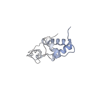 25530_7syj_S_v1-1
Structure of the HCV IRES binding to the 40S ribosomal subunit, closed conformation. Structure 4(delta dII)