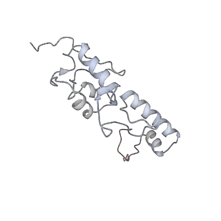 25530_7syj_T_v1-1
Structure of the HCV IRES binding to the 40S ribosomal subunit, closed conformation. Structure 4(delta dII)