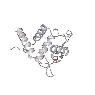 25530_7syj_U_v1-1
Structure of the HCV IRES binding to the 40S ribosomal subunit, closed conformation. Structure 4(delta dII)