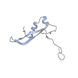 25530_7syj_W_v1-1
Structure of the HCV IRES binding to the 40S ribosomal subunit, closed conformation. Structure 4(delta dII)