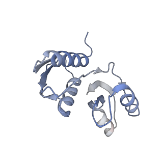 25530_7syj_X_v1-1
Structure of the HCV IRES binding to the 40S ribosomal subunit, closed conformation. Structure 4(delta dII)