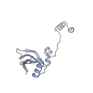 25530_7syj_Z_v1-1
Structure of the HCV IRES binding to the 40S ribosomal subunit, closed conformation. Structure 4(delta dII)
